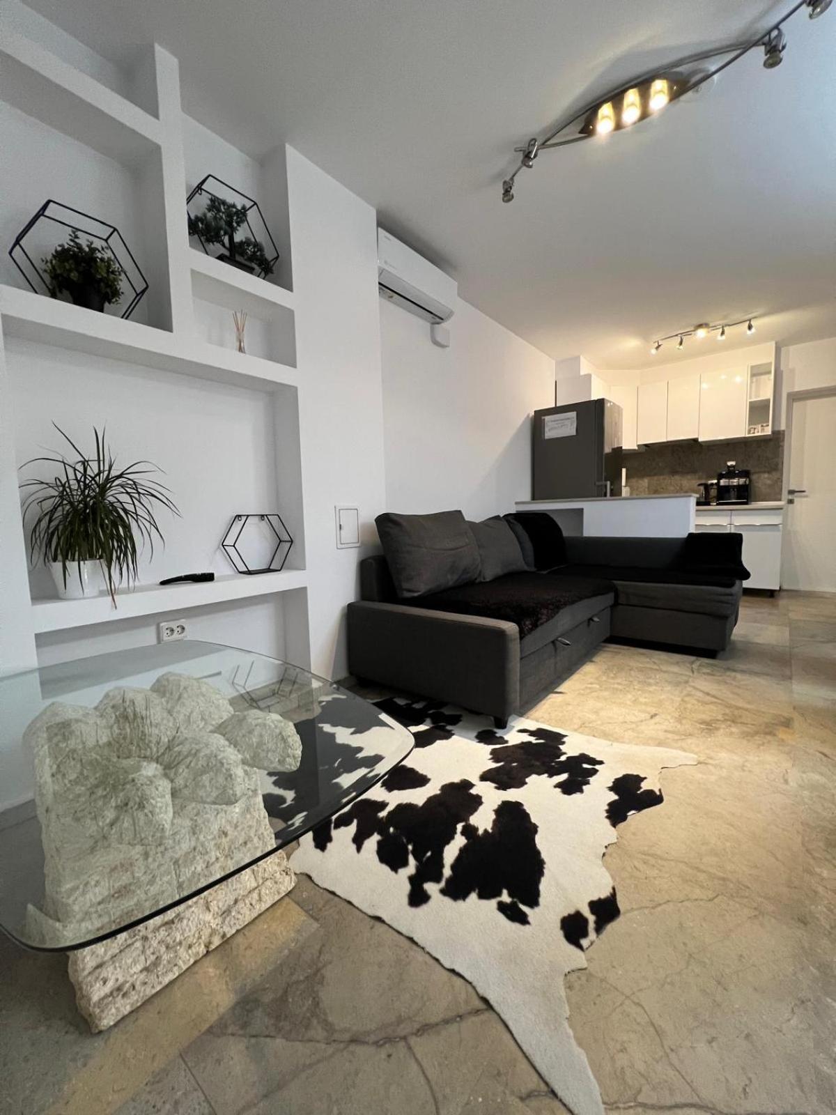 Luxus Cluj Airport Apartments エクステリア 写真